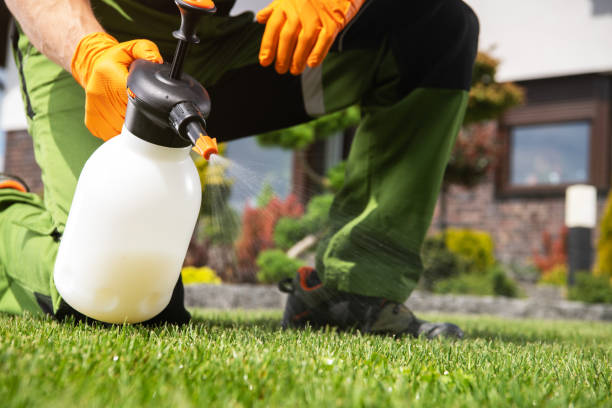 Best Rat Extermination Near Me  in Albany, IN