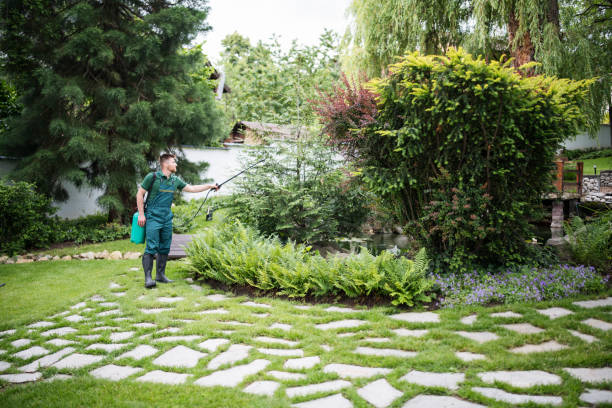 Professional Pest Control in Albany, IN