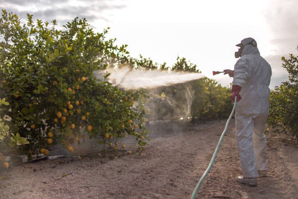 Best Cockroach Control Services  in Albany, IN