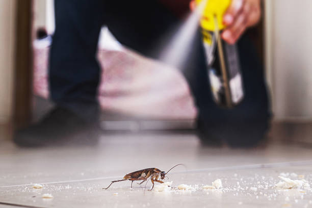 Best Flea Control Services  in Albany, IN