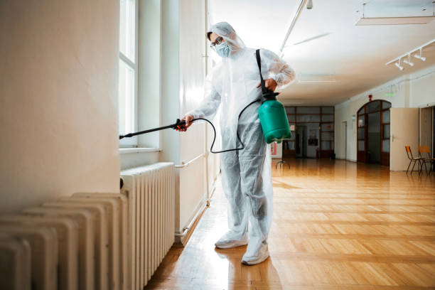 Flea Control Services in Albany, IN