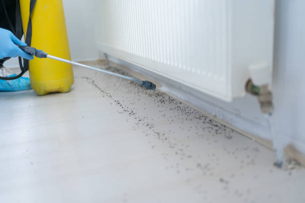 Best Emergency Pest Control  in Albany, IN
